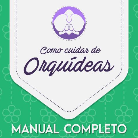 manual completo como cuidar de orquideas